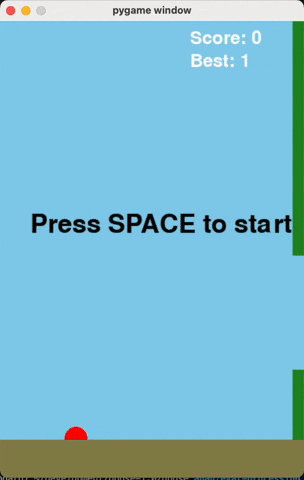 Slide 5